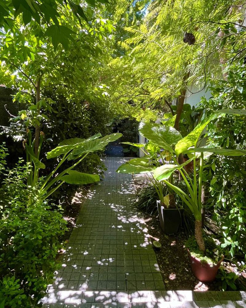 Interior del Estudio Lo Contador